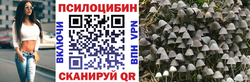 Псилоцибиновые грибы GOLDEN TEACHER  Арамиль 